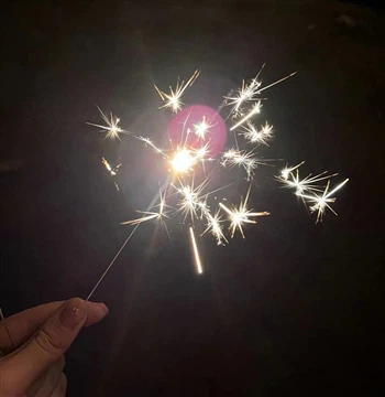 La société Wuhan Youfu célèbre le festival des lante...