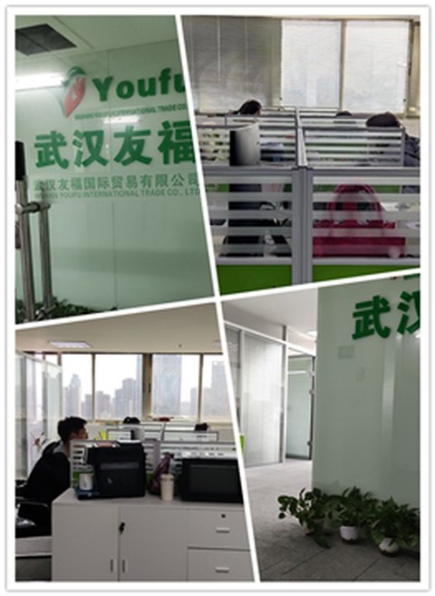 Nouveau bureau et croissance de Wuhan Youfu à Asia Trade Plaza